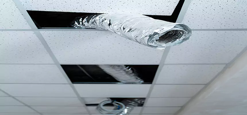 Our Air Duct Pet Hair Removal Services in Coachella, CA