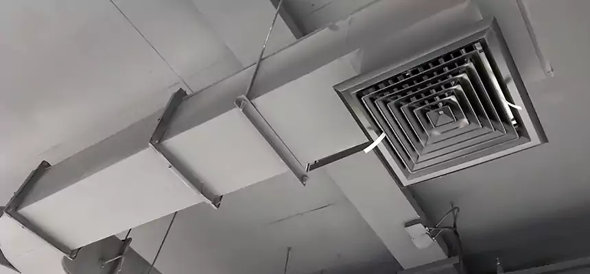 Restorative Allergy Relief Vent Cleaning – Coil, Blower & Housing Detail in Coachella