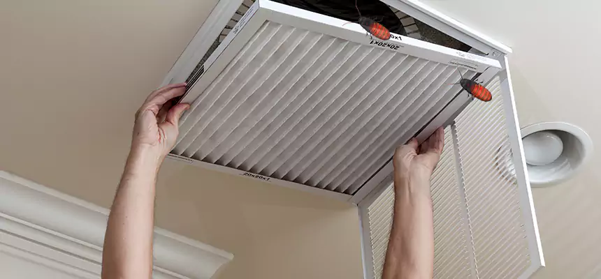 Our Insect Removal from Air Ducts Services in Coachella, CA