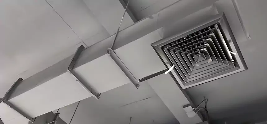 Our Pest Removal From Ducts Services in Coachella, CA