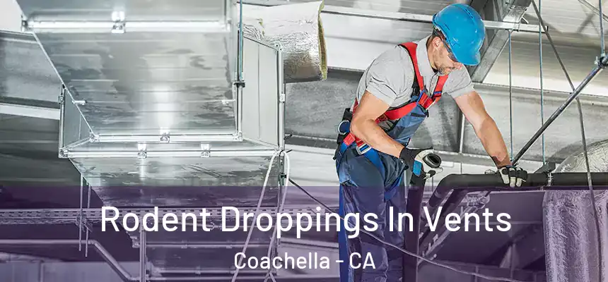  Rodent Droppings In Vents Coachella - CA