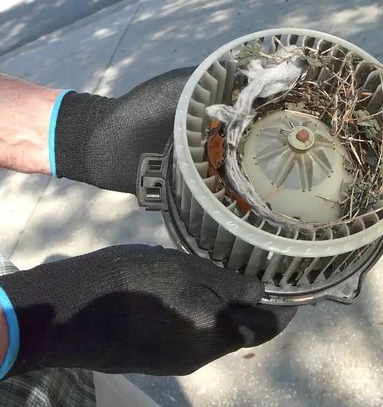 About Air Duct Mice Removal in Coachella, CA