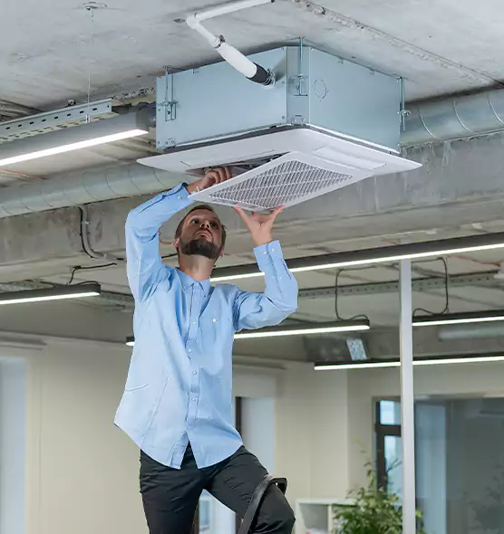 Advanced Rodent Droppings In Vents in Coachella, CA