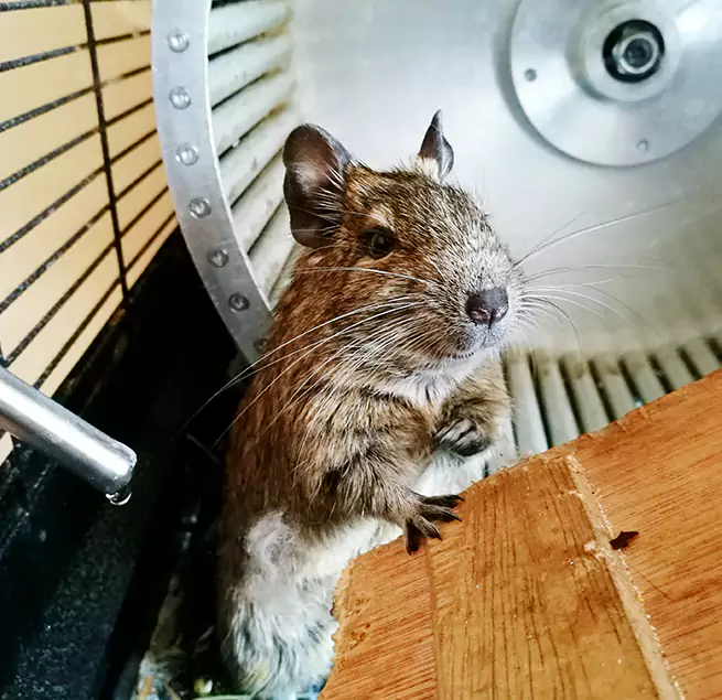 Why Homeowners & Businesses Trust Us Coachella, CA