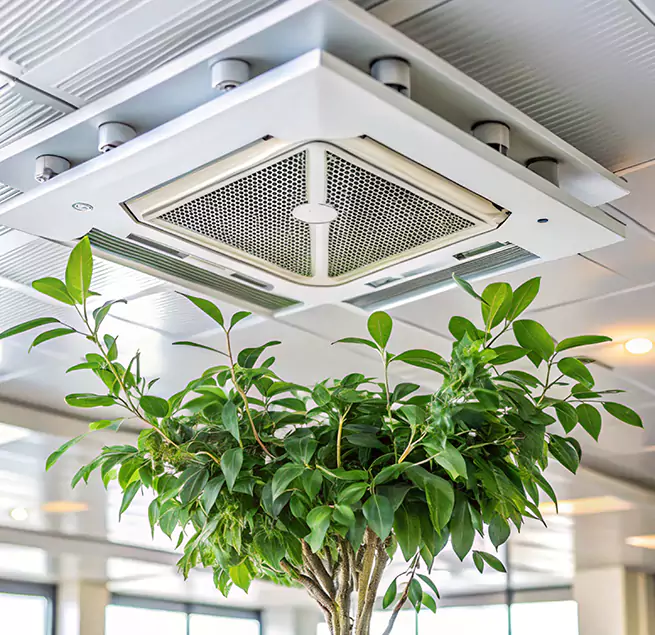 Why Homeowners & Businesses Trust Us in Coachella, CA